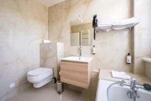Chambre hôtel salle de bain Guebwiller