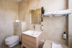 Chambre hôtel salle de bain Guebwiller